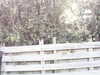 20200919-MOVI0000-frame0002.jpg