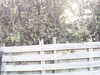 20200919-MOVI0000-frame0003.jpg