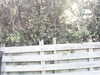 20200919-MOVI0000-frame0004.jpg