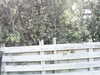 20200919-MOVI0001-frame0001.jpg