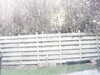 20200919-MOVI0001-frame0003.jpg