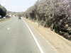 20200919-MOVI0009-frame0004.jpg