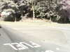 20200919-MOVI0030-frame0002.jpg