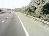 20200919-MOVI0041-frame0005.jpg