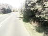 20200919-MOVI0053-frame0004.jpg