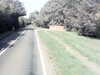 20200919-MOVI0054-frame0001.jpg