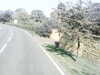 20200919-MOVI0054-frame0005.jpg
