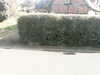 20200919-MOVI0058-frame0004.jpg