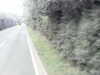 20200920-MOVI0001-frame0002.jpg