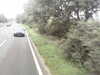 20200920-MOVI0003-frame0004.jpg