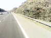 20200920-MOVI0020-frame0001.jpg
