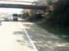 20200920-MOVI0024-frame0004.jpg