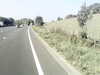 20200920-MOVI0030-frame0002.jpg