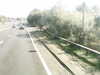 20200920-MOVI0034-frame0004.jpg