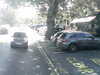 20200920-MOVI0037-frame0001.jpg