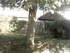 20200920-MOVI0037-frame0005.jpg