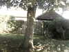 20200920-MOVI0038-frame0001.jpg