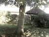 20200920-MOVI0038-frame0002.jpg