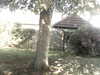 20200920-MOVI0038-frame0003.jpg