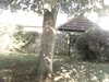 20200920-MOVI0038-frame0004.jpg