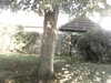 20200920-MOVI0038-frame0005.jpg