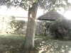 20200920-MOVI0039-frame0001.jpg