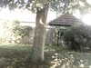 20200920-MOVI0039-frame0004.jpg