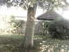 20200920-MOVI0039-frame0005.jpg