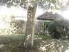 20200920-MOVI0040-frame0001.jpg