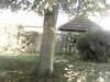 20200920-MOVI0040-frame0002.jpg