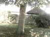 20200920-MOVI0040-frame0003.jpg