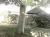 20200920-MOVI0040-frame0004.jpg