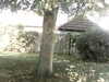 20200920-MOVI0040-frame0005.jpg