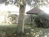 20200920-MOVI0041-frame0001.jpg