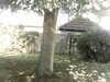 20200920-MOVI0041-frame0002.jpg