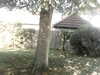 20200920-MOVI0041-frame0003.jpg