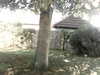 20200920-MOVI0041-frame0004.jpg