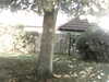 20200920-MOVI0041-frame0005.jpg