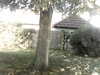20200920-MOVI0042-frame0001.jpg