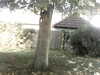 20200920-MOVI0042-frame0003.jpg
