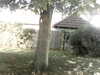 20200920-MOVI0042-frame0004.jpg