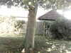 20200920-MOVI0043-frame0001.jpg