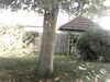 20200920-MOVI0043-frame0002.jpg