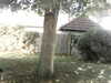 20200920-MOVI0043-frame0003.jpg