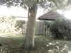 20200920-MOVI0043-frame0004.jpg