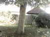 20200920-MOVI0044-frame0001.jpg