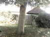 20200920-MOVI0044-frame0003.jpg
