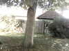 20200920-MOVI0044-frame0004.jpg