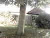 20200920-MOVI0044-frame0005.jpg