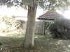 20200920-MOVI0045-frame0001.jpg